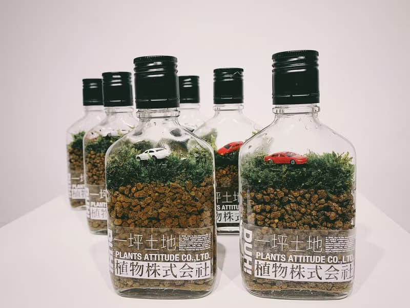 一坪土地 植物株式会社