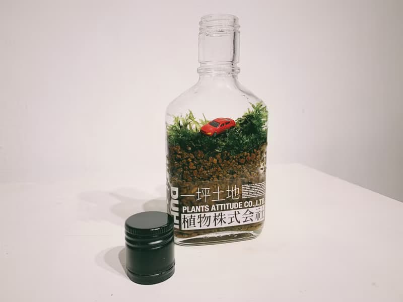 一坪土地 植物株式会社