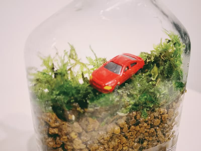 一坪土地 植物株式会社