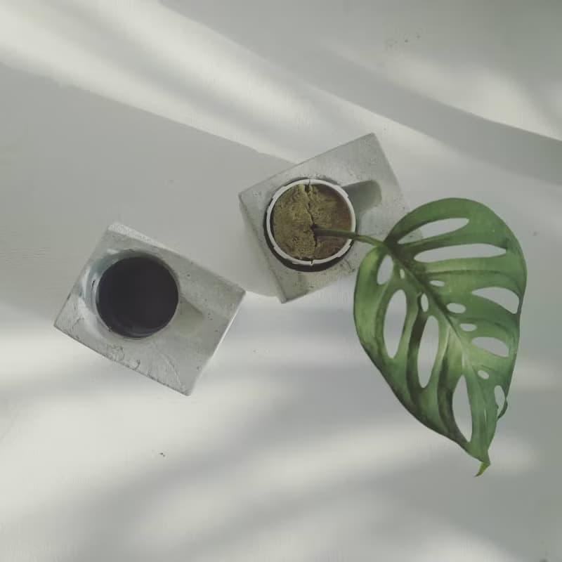 水管水耕重生泥盆