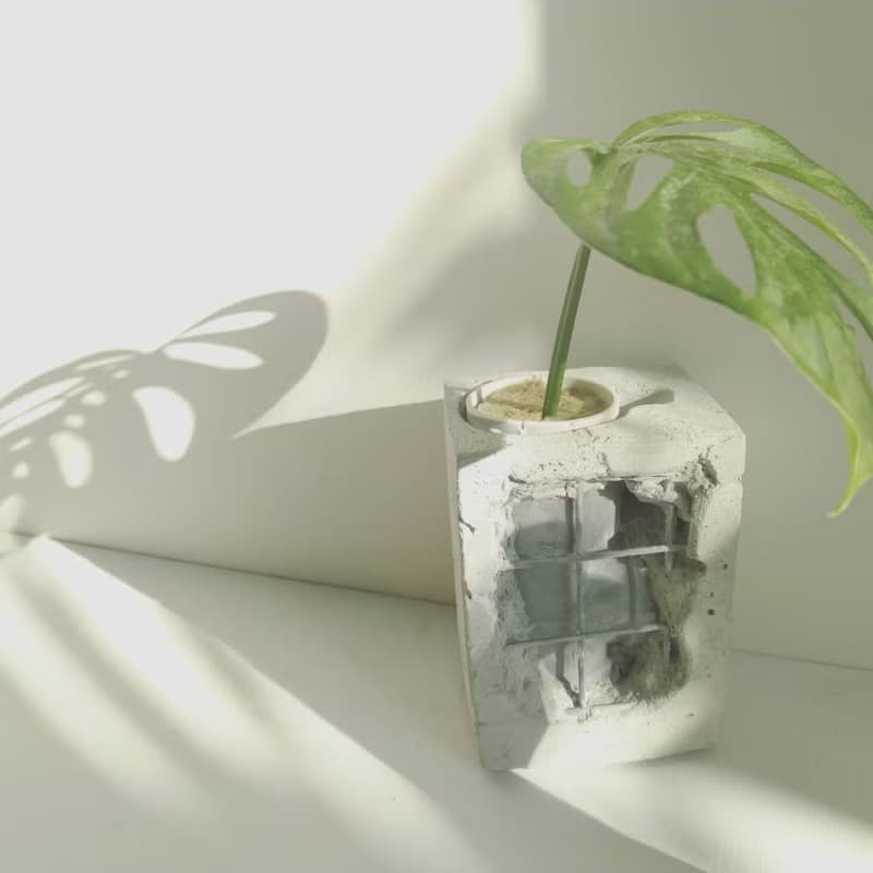 水管水耕重生泥盆