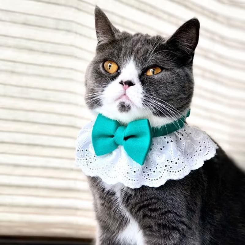 Ella Wang Design Lolita Bowtie 寵物 蕾絲 領結 蝴蝶結 羅莉