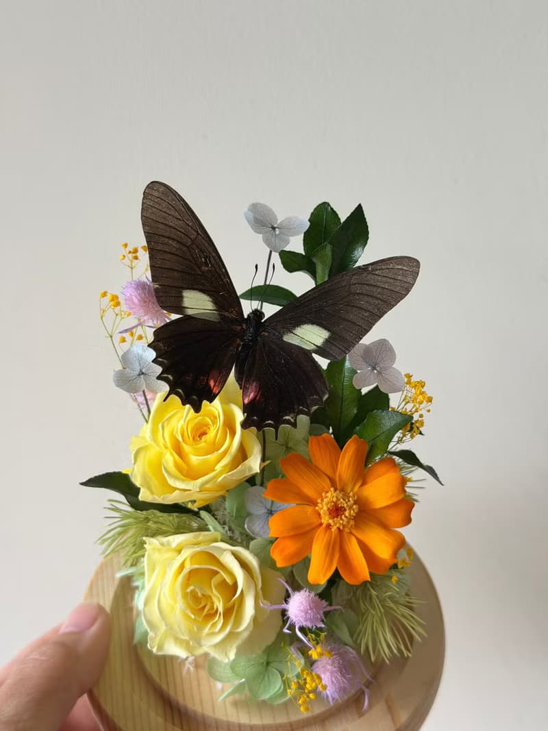 春庭永生玫瑰 蝴蝶玻璃盅 -榮退禮/情人節/訂婚/紀念/入厝/生日