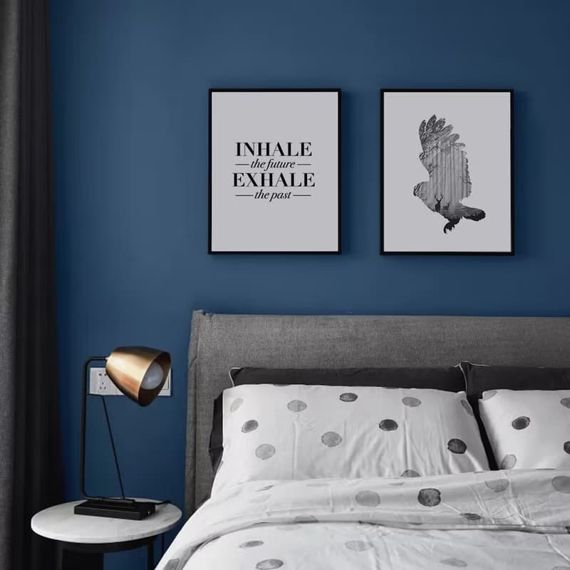 蒼鷹-臥房掛畫/商空/複製畫/玄關/角落空間/鳥/居家飾品