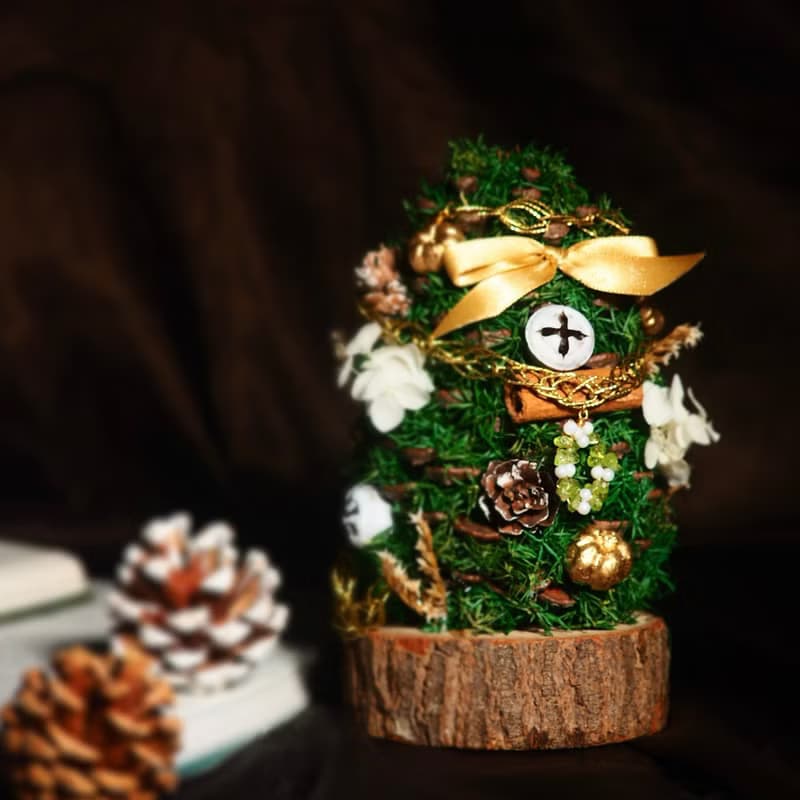 【聖誕樹項鍊禮盒】燙金感聖誕樹|星辰項鍊|不褪色|聖誕禮物