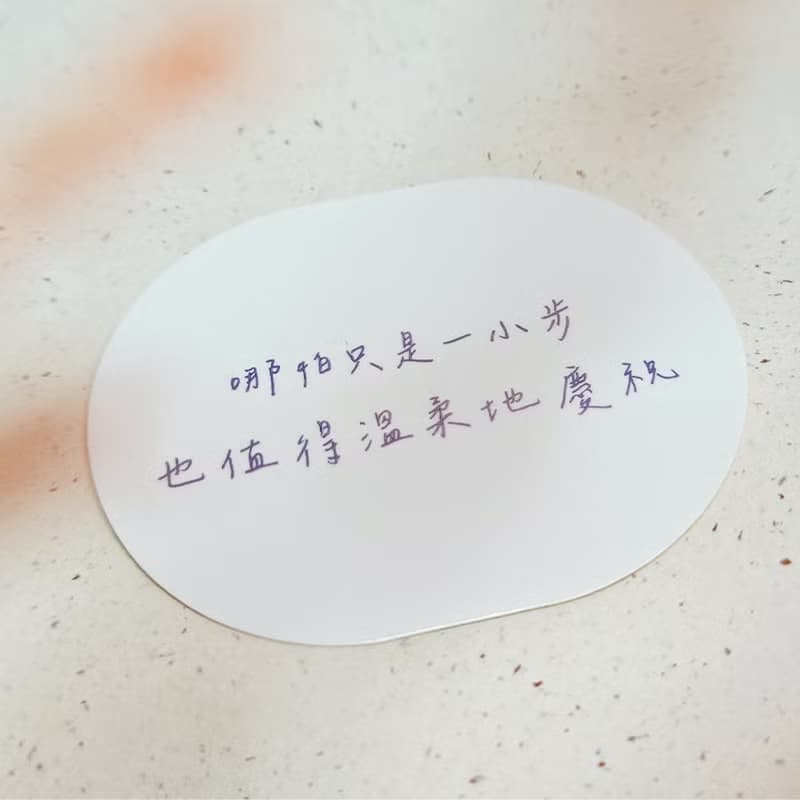 【萬用貼紙】水豚貼紙 語錄貼紙 6入組