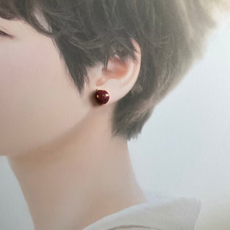 Earrings てんとう虫