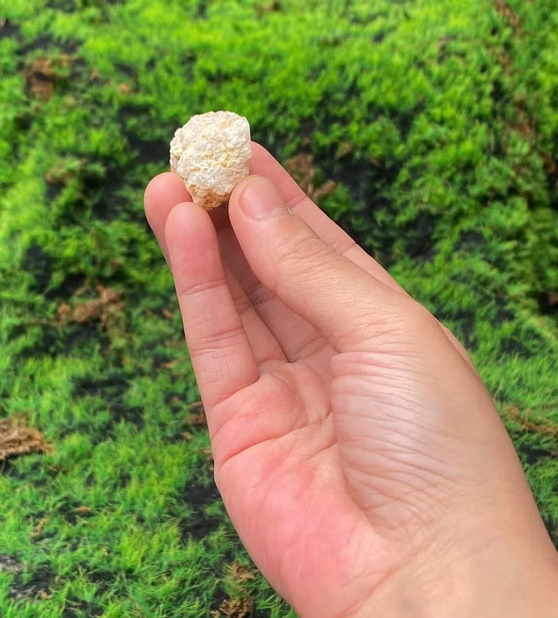 瑪瑙愛心白晶洞 // 白水晶 // 天然原礦 // 招財開運 // 快速出貨