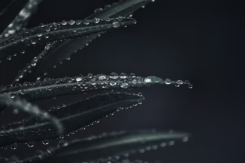 Hydromancy | 水占術系列 - 雨露 * 項鍊