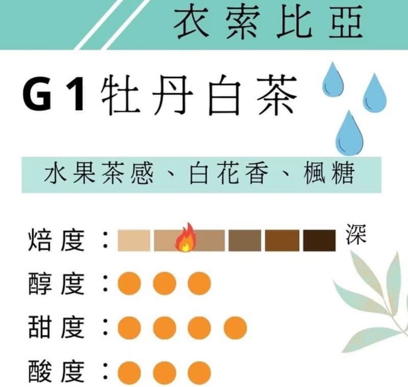 衣索比亞 G1 牡丹白茶 水洗 淺焙 精品咖啡 單品咖啡 鑠咖啡 濾掛