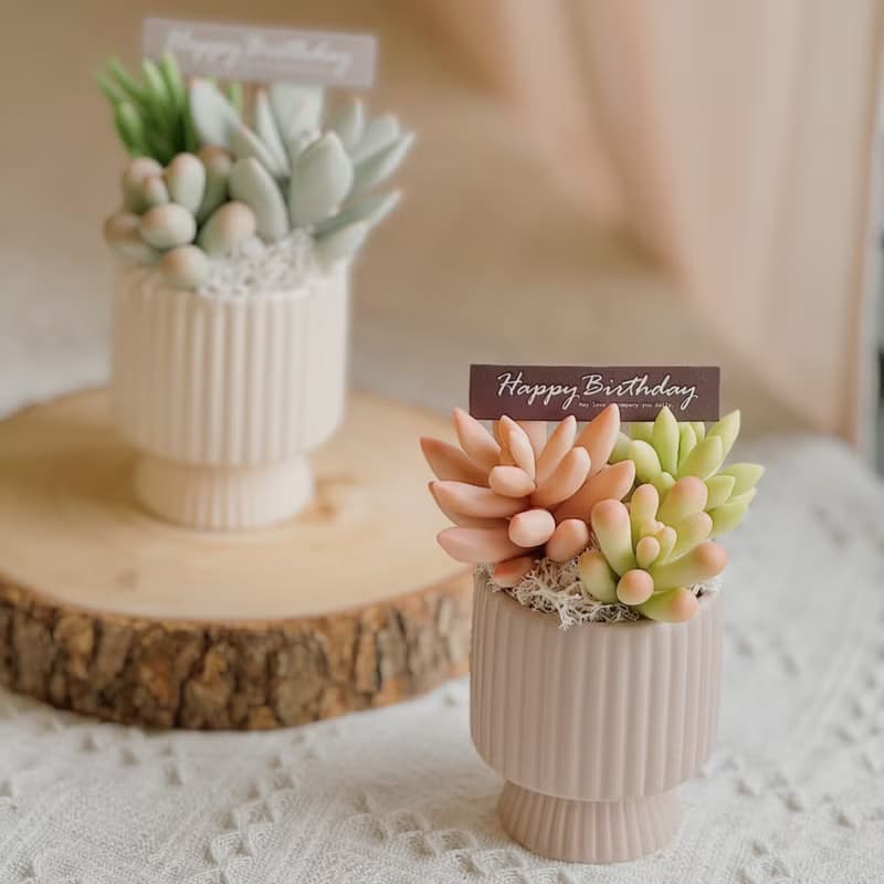 -送禮首選-【懶人救星】黏土多肉小花園C-2-豎紋款(小)附提袋