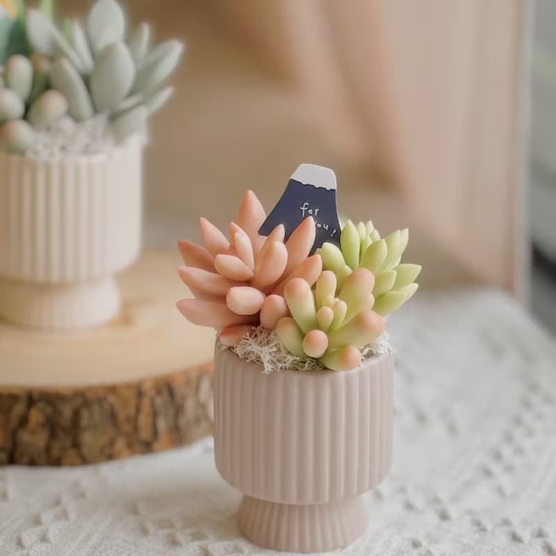 -送禮首選-【懶人救星】黏土多肉小花園C-2-豎紋款(小)附提袋