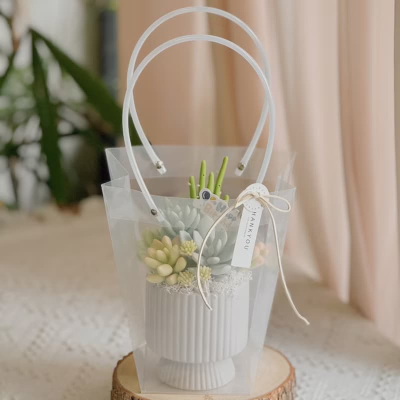 -送禮首選-【懶人救星】黏土多肉小花園C-2-豎紋款(小)附提袋