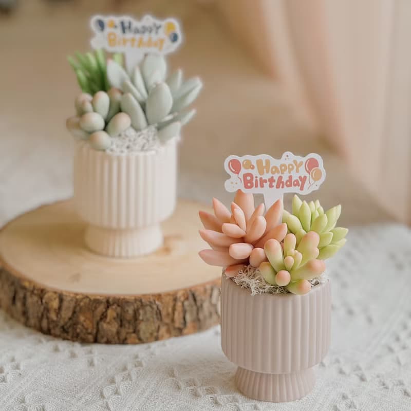 -送禮首選-【懶人救星】黏土多肉小花園C-2-豎紋款(小)附提袋