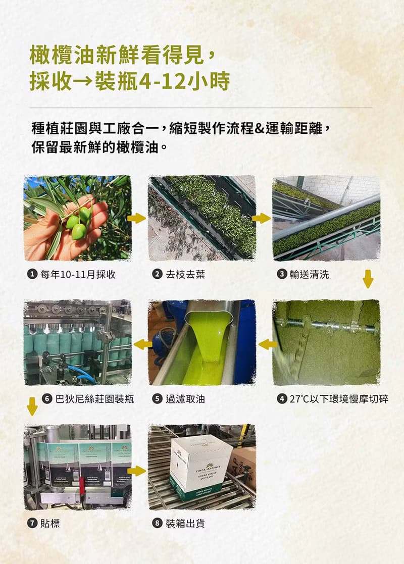 【巴狄尼絲】莊園頂級初榨橄欖油500ml (禮盒)