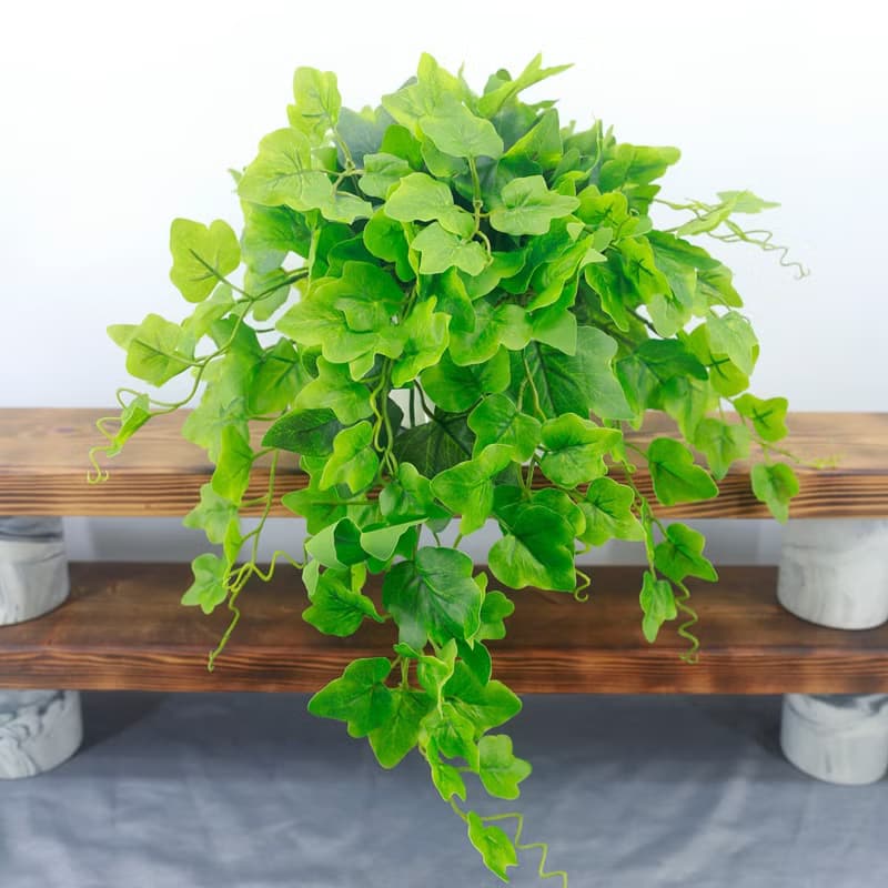 高擬真綠長春藤植栽/環境綠化/擬真植栽/藤蔓植物/居家佈置