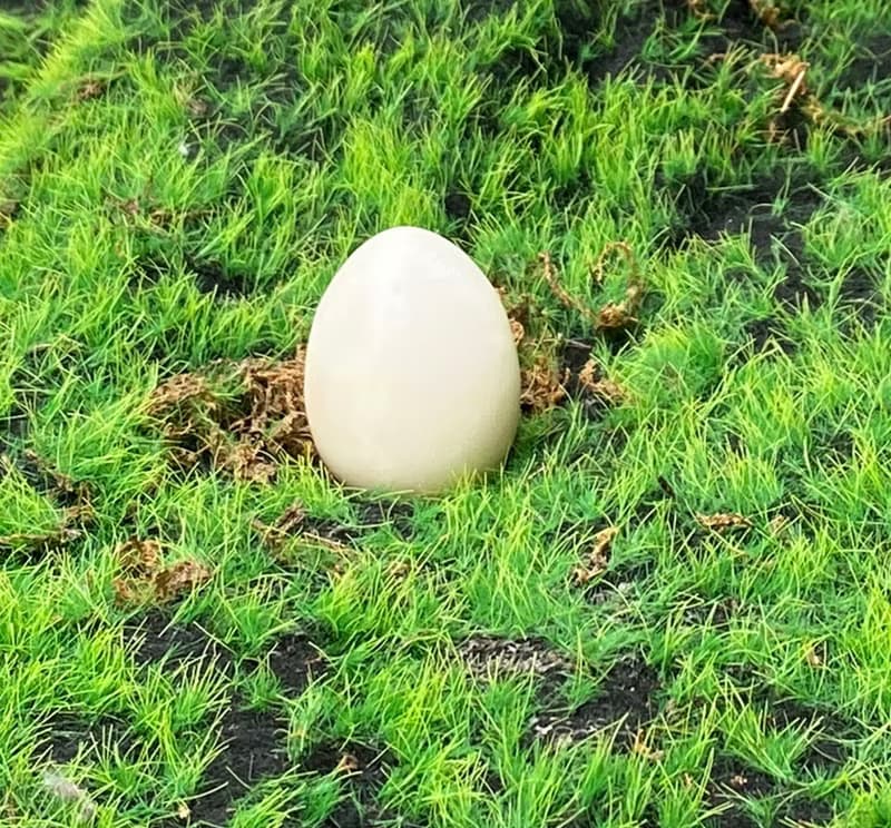 能量擺飾-天然可愛香菇頭白方解療癒娃娃擺件 淨化 快速出貨