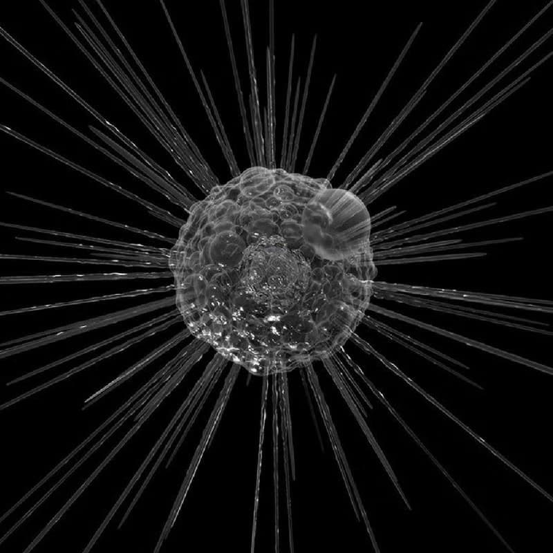 Sola cube Micro雷射雕刻微生物立方塊 太陽蟲