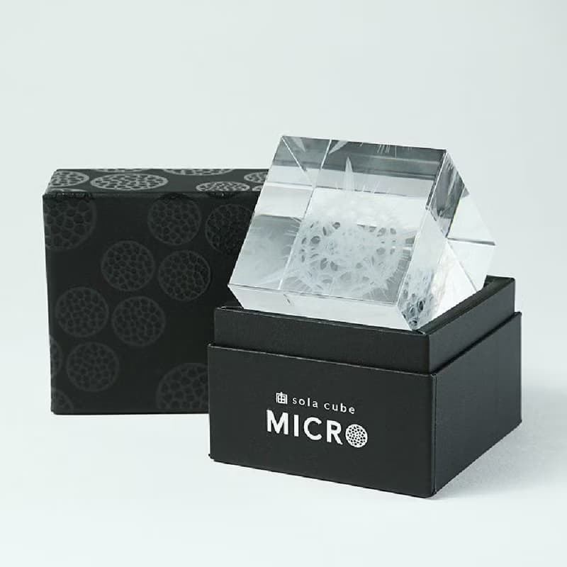 Sola cube Micro雷射雕刻微生物立方塊 太陽蟲