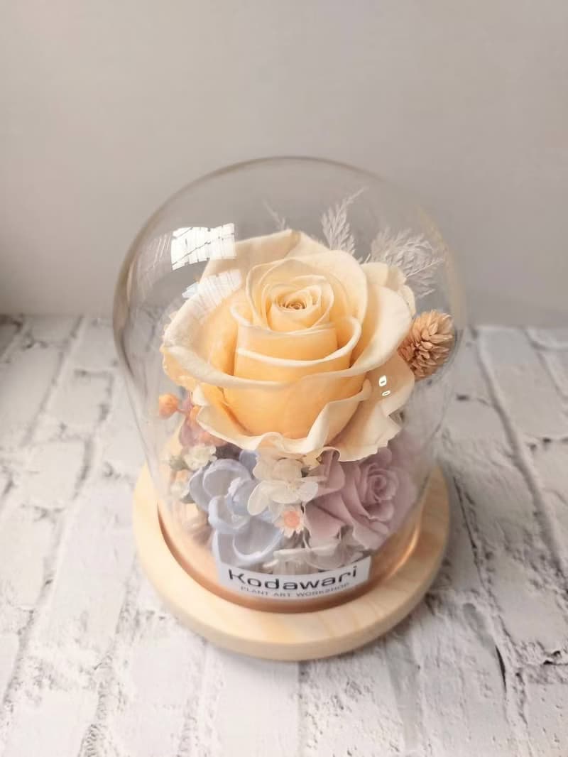 香檳 永生花玻璃罩.花盅 祝賀花禮 生日.七夕情人節.母親節.畢業