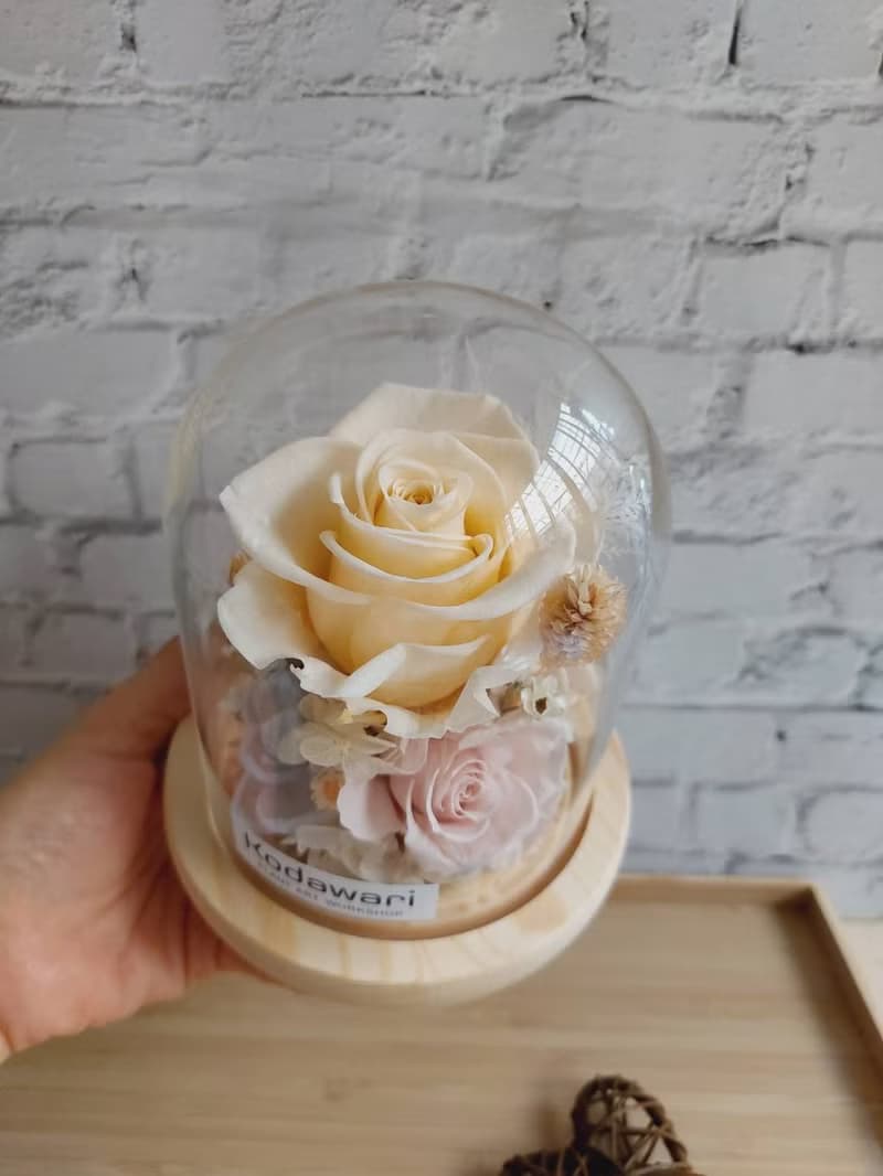 香檳 永生花玻璃罩.花盅 祝賀花禮 生日.七夕情人節.母親節.畢業
