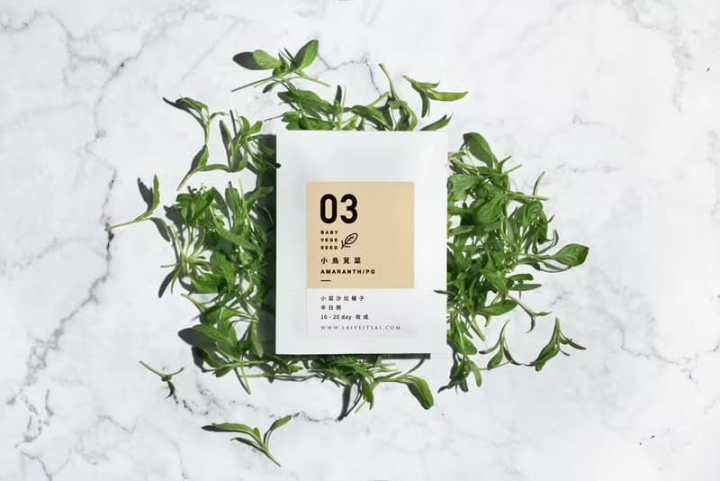 03小鳥莧生菜種子_入坑禮物盒