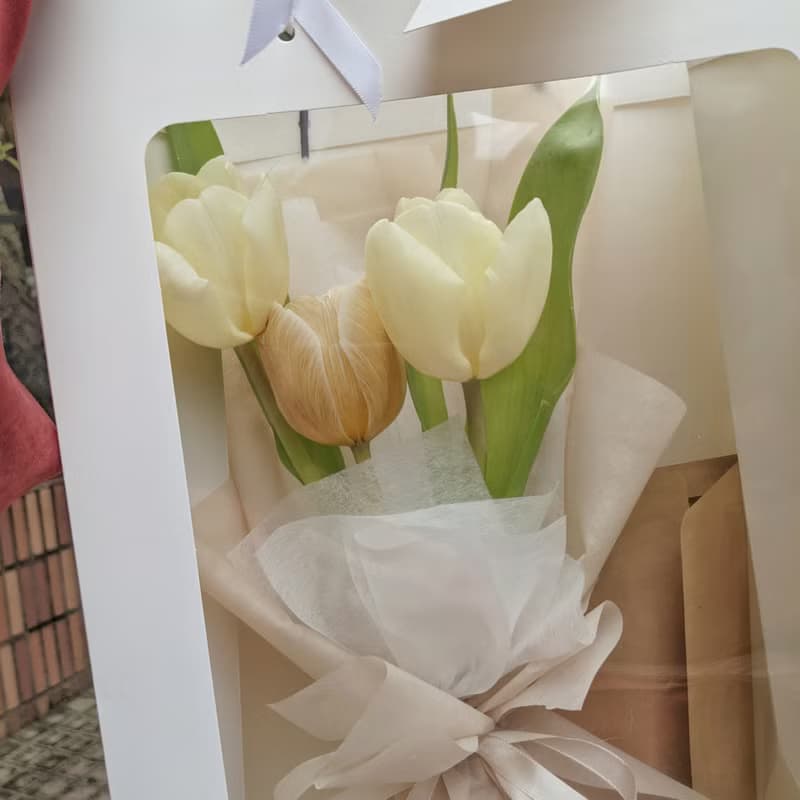 花藝提袋 花束捧花皆可用/袋身透明/不同尺寸