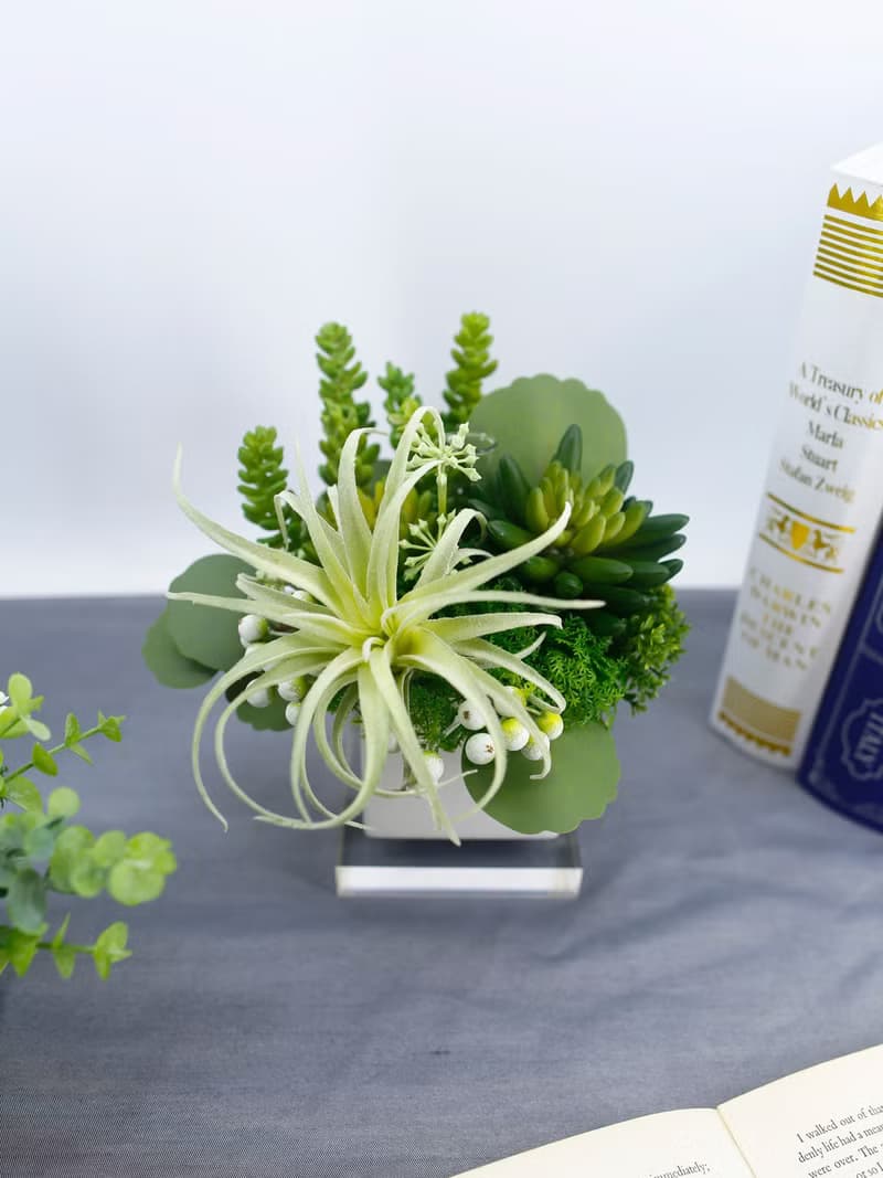 多肉盆栽 / 空氣鳳梨 / 擬真植栽 / 香氛植栽 / 綠化環境