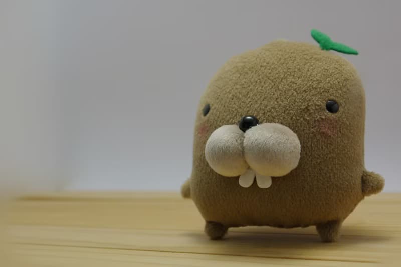 Bucute 擦拭手機螢幕   馬林鼠鑰匙圈   生日禮物   禮物