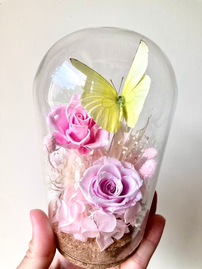 輕盈永生蝴蝶玻璃盅-畢業禮/情人節/訂婚/紀念日/生日/永生花
