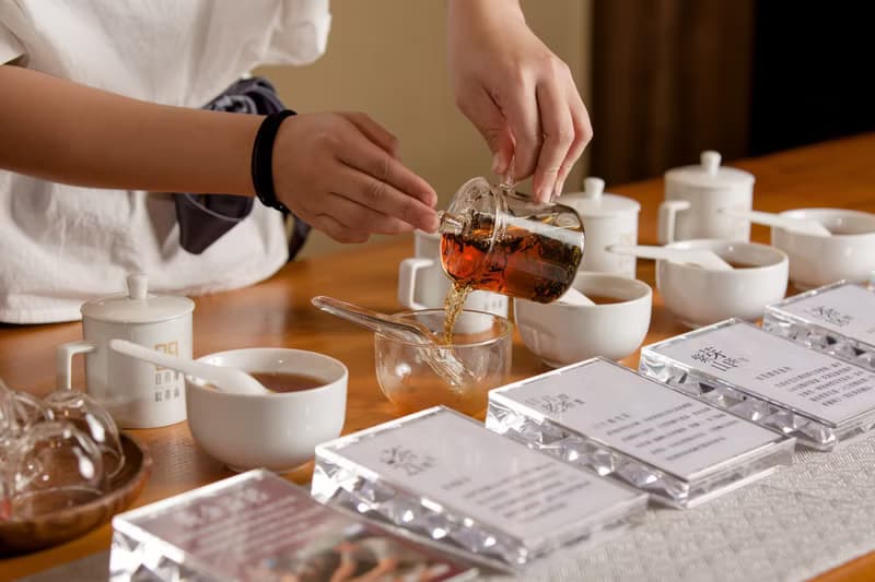 【典藏老茶大甕】十年以上珍藏 天然的陳年香氣 珍藏昇華價值