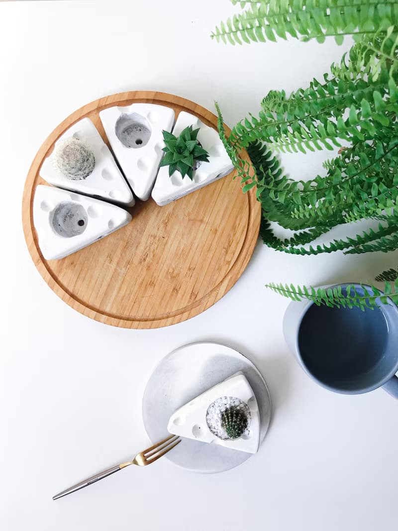 起司蛋糕 多肉/仙人掌甜點 水泥小盆栽 生日蛋糕
