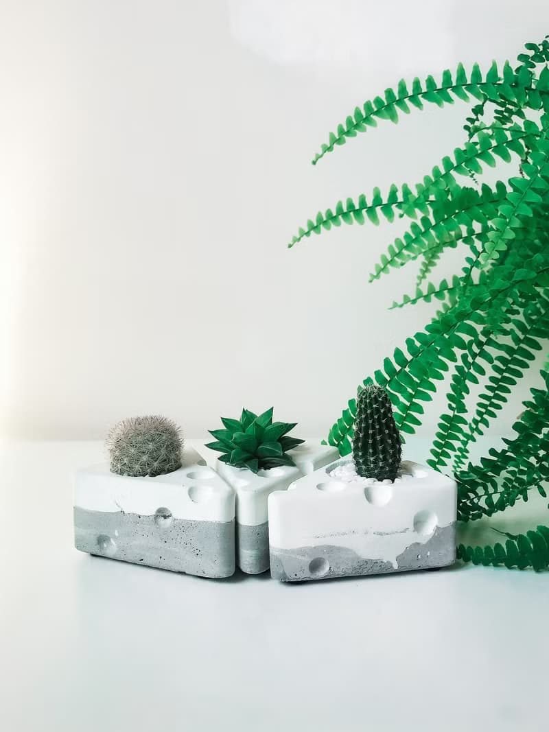 起司蛋糕 多肉/仙人掌甜點 水泥小盆栽 生日蛋糕
