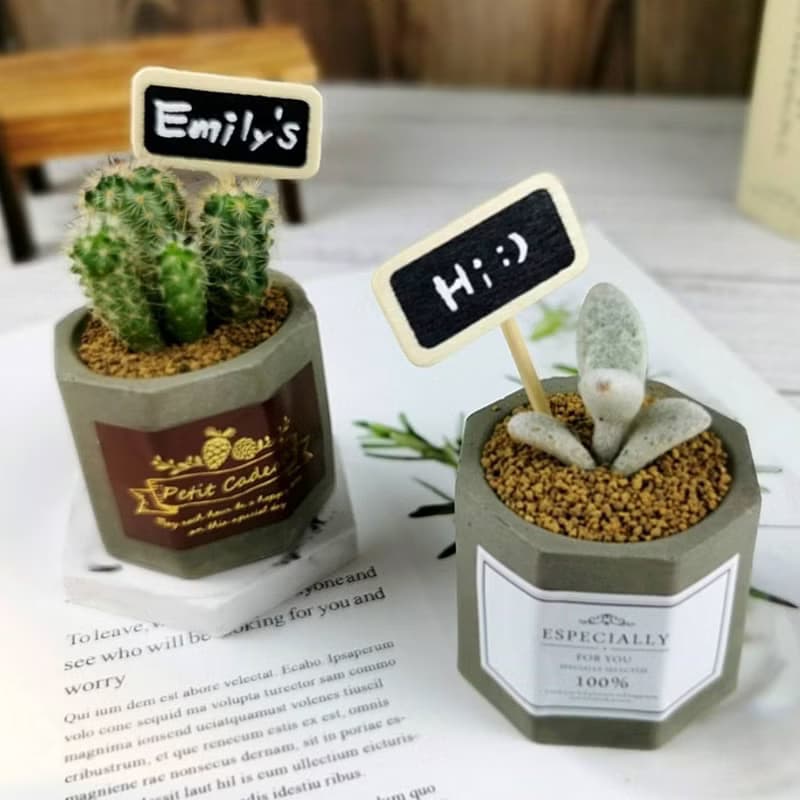 【體驗】【高雄場】下班隨手作 | 多肉雙八角水泥盆