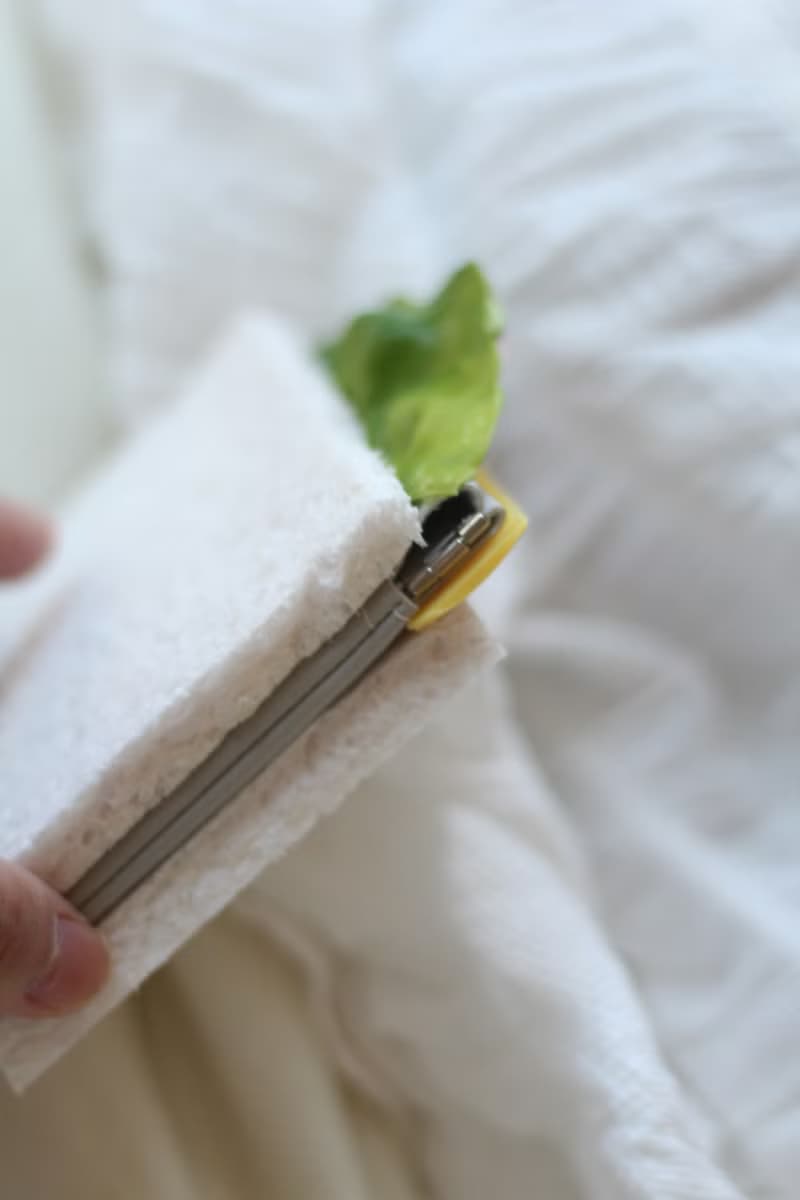 春袋　三明治　火腿 起司 生菜