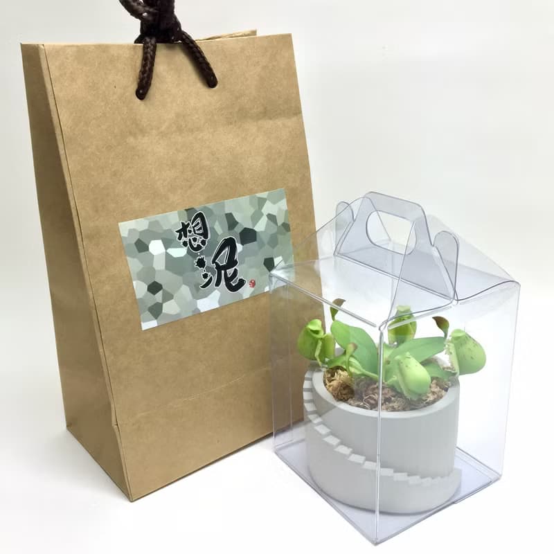 仿生黏土食蟲植物 斑蘋果豬籠草