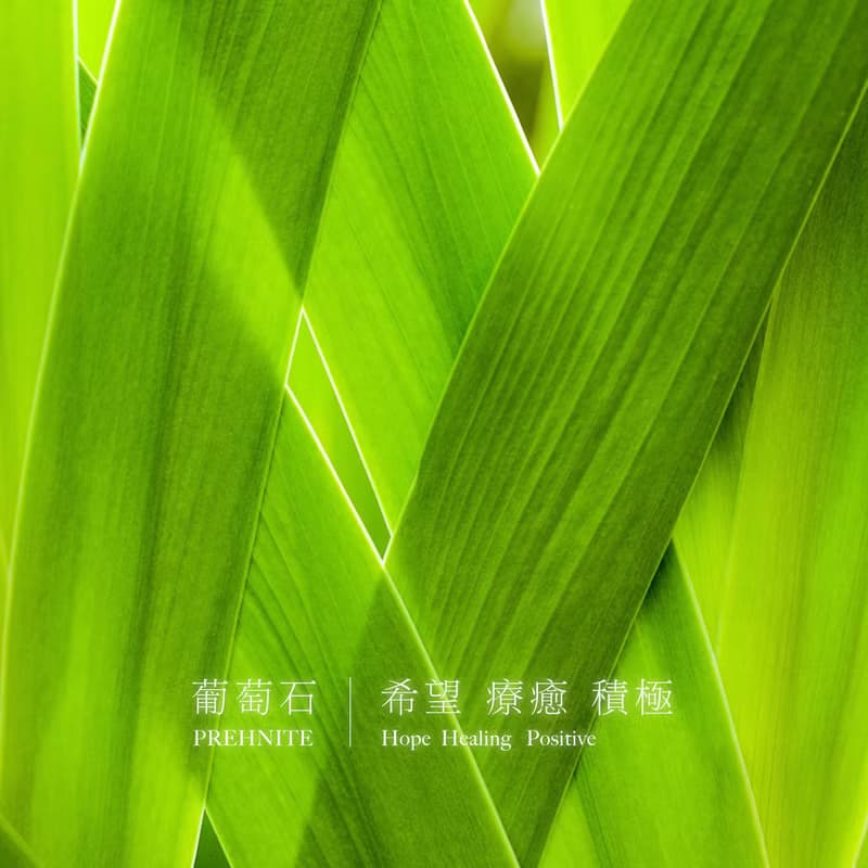 2件85折 | 葡萄石原礦純銀耳環