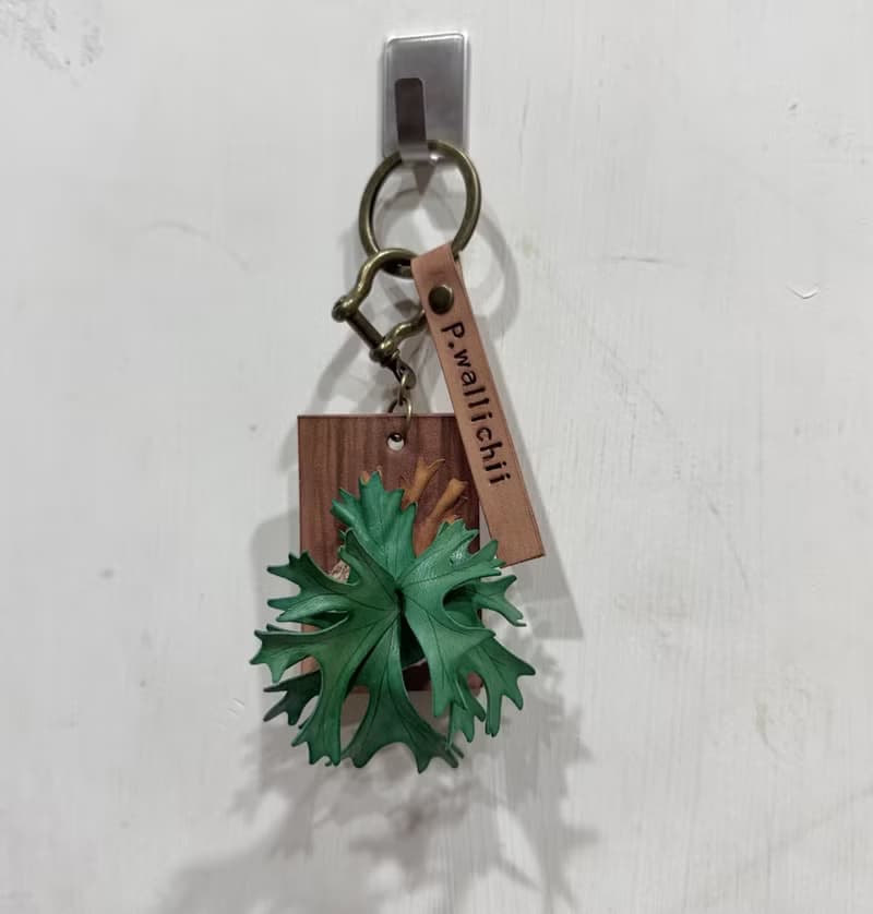 P. wallichii 鹿角蕨_皮革吊飾 / 送禮