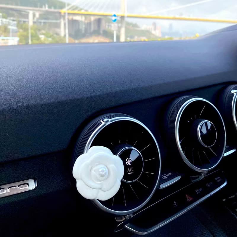 山茶花車用擴香石