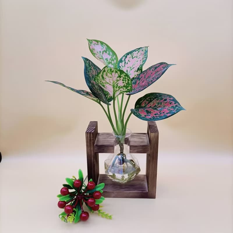 水培植物 亞曼尼粗助草 懶人植栽 創意木架 室內