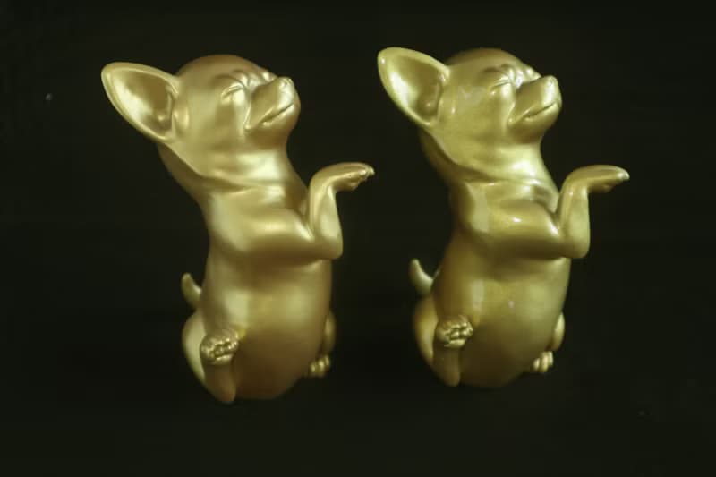 釩墉創藝  【金舞吉=金有錢】    跳舞的金色吉娃娃