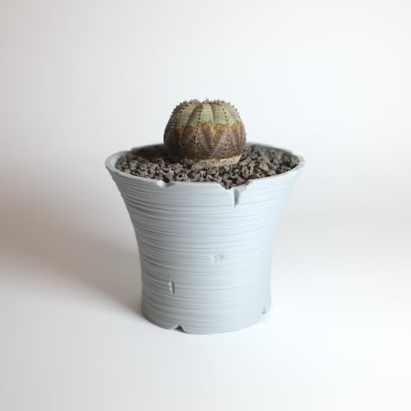 CBP005植木鉢 原創設計/3D列印/多肉塊根植物/盆器盆栽/送禮