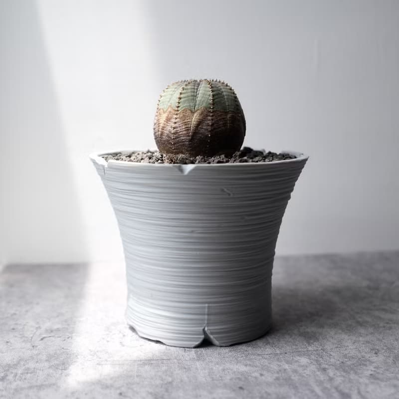 CBP005植木鉢 原創設計/3D列印/多肉塊根植物/盆器盆栽/送禮