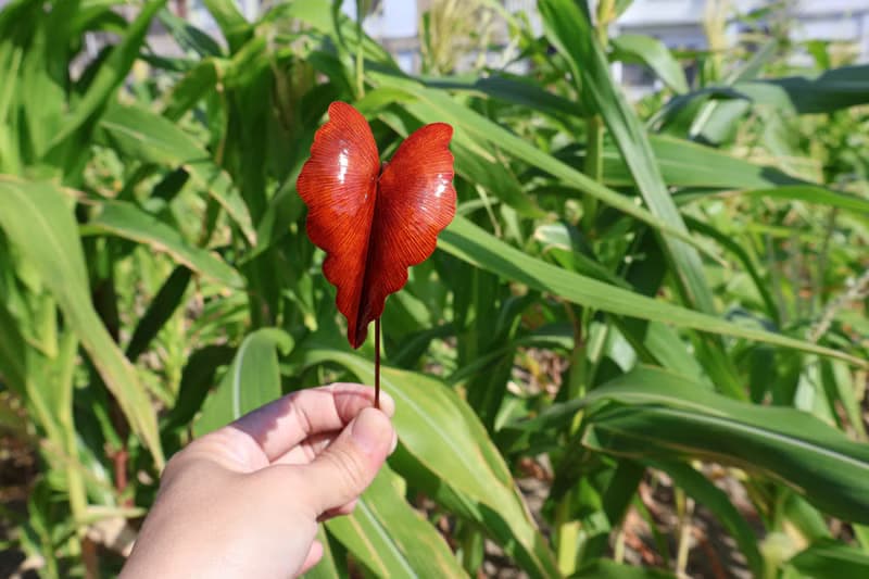【訂製】永生黑葉芋盆栽 紅銅純手工鍛敲 療癒禮物