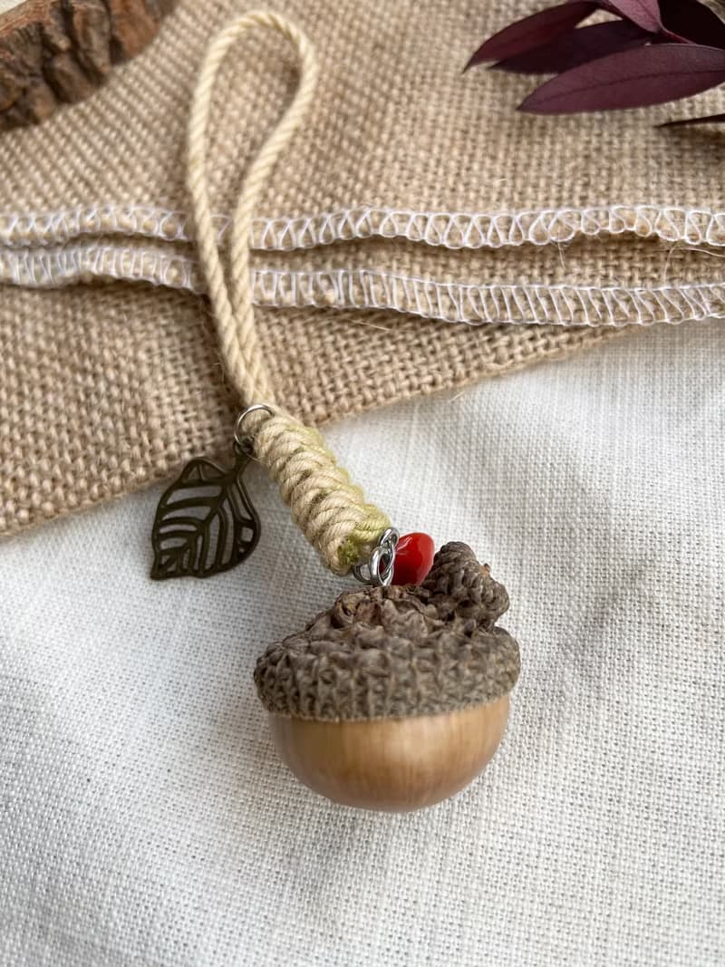 植物吊飾-天然橡實/小西氏石櫟/乾燥果實