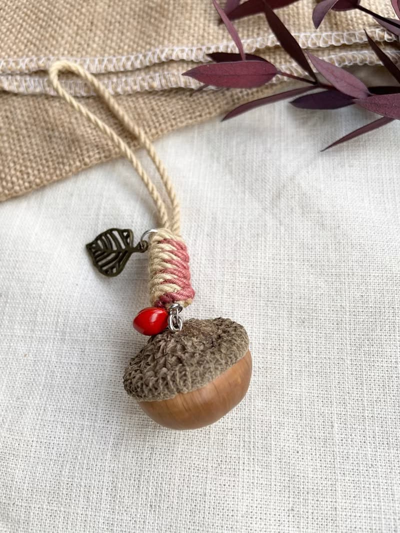 植物吊飾-天然橡實/小西氏石櫟/乾燥果實