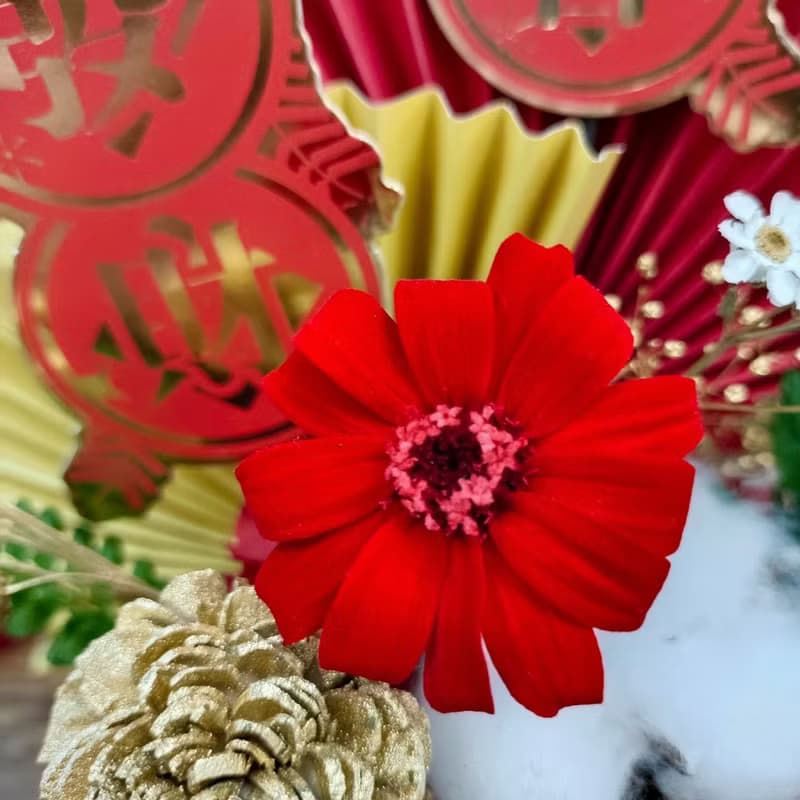 新年限定春節花禮 / 永生花盆花 / 新年花禮 永生花 年節禮物