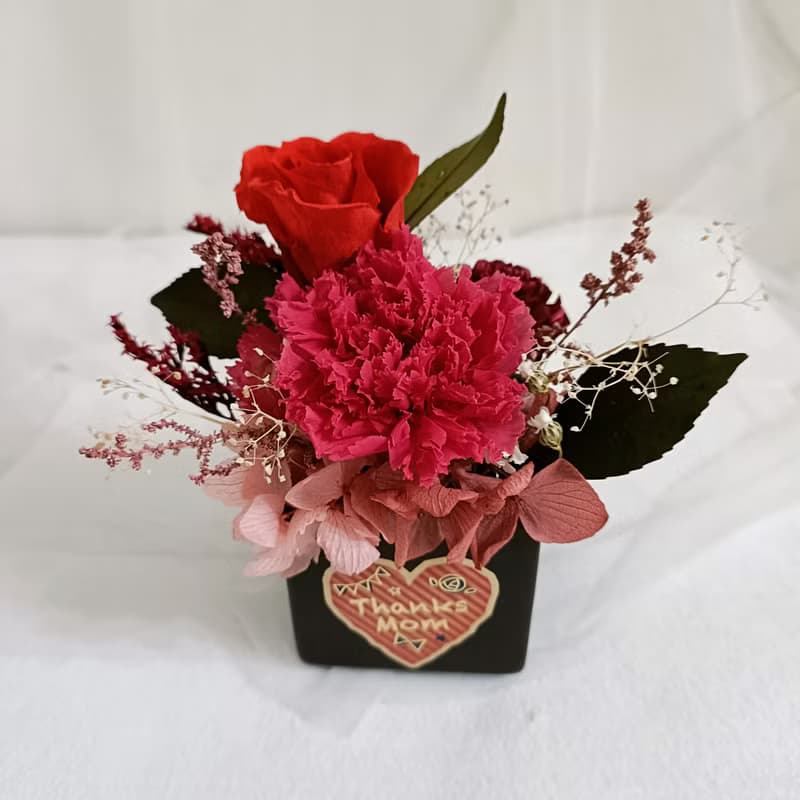 永生康乃馨盆花  情人節生日工商企業贈品課程七夕情人節花束中秋