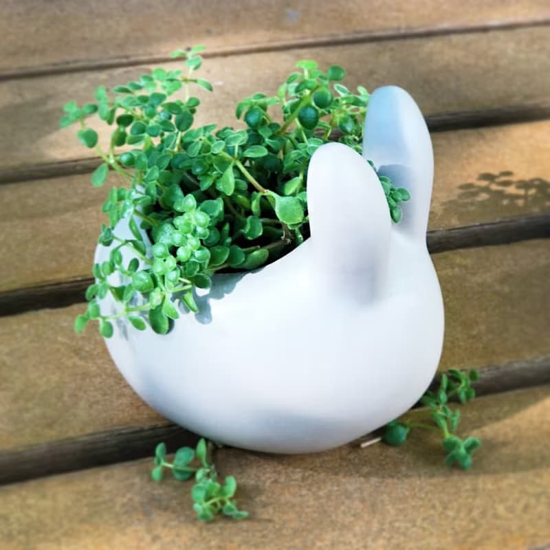 兔兔那麼可愛 月兔應景小品 | 中秋送禮首選 居家辦公好夥伴