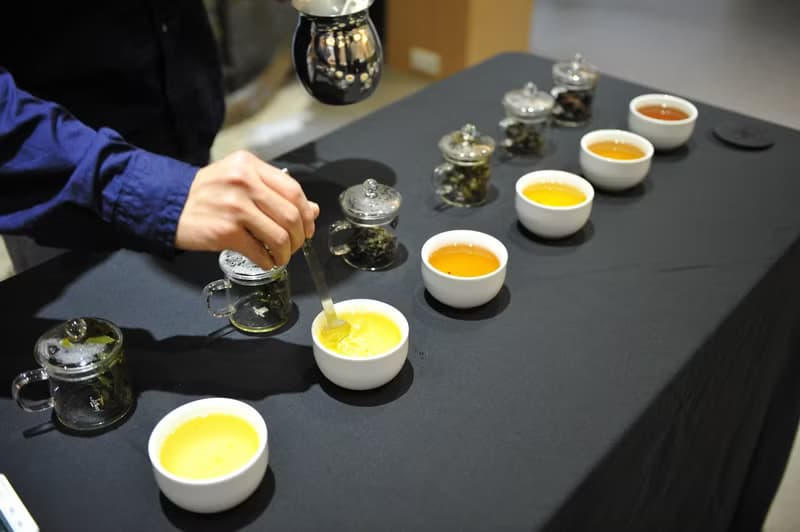 【體驗】【證照班】茶葉品評一級 (台中班)
